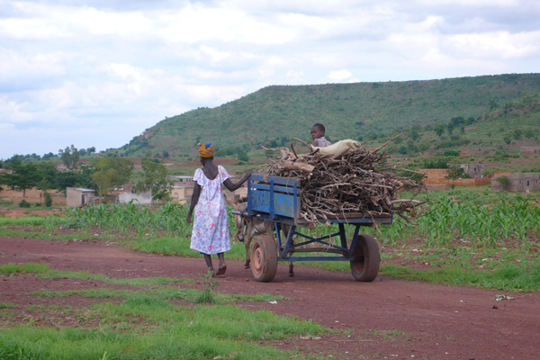 Une mère et son fils transportant du bois à Kati